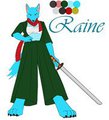 Raine normal Attire