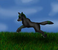 Fetch