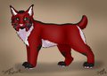 Feral Lynx (practice)