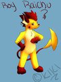 Roy Raichu