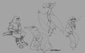 Doodles