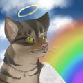 RIP pabu