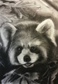 Red Panda