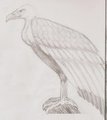 sketchbook page10