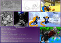 Skyeder commission list by tyrans