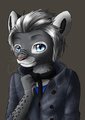 Remy by Glas Fuchs by RemyFelis
