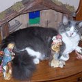 Away From That Manger