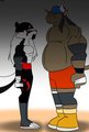 Skunk-Bull Face Off