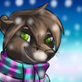Winter Sim Icon  by CainDaichi