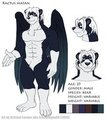 Ractus Clean Ref Sheet by Crocdragon89 by ractuswalks