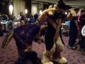 Sniffing Desoto's butt  by rourkie