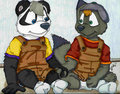 Pandr and Loupy internationnal relations