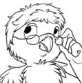 One'n Only Owl of Observation
