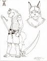 Aero, Guardian of the Moon (Koku-style)  by haseodragon