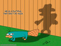 Perry the Platypus