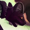 Warriors: Frightened behind their Fury