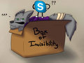 Skype...