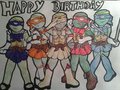 SAILOR TURTLES