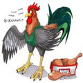 You're what you eat