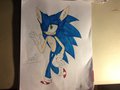 Sonic the hedgehog