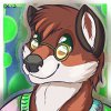 RobbyFox Toony Icon