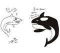 Fish Fight
