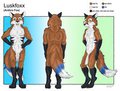 Character Sheet