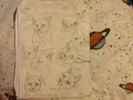 Little cats-WIP by Neonanimals000