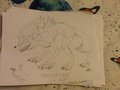 Fleetway the...wolf by Neonanimals000