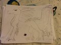 Dragon! by Neonanimals000
