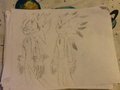 Little bro's drawings