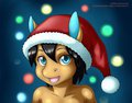 Christmas Nancho