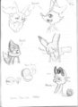 Some Sketches
