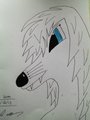 White Wolf