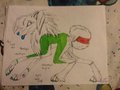 Lime the wolf