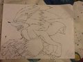 Sonic the werehog