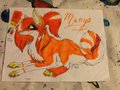 Mango the wolf