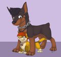 Tiniest of cats by xK2x