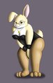 Butterball the Playbunny
