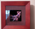 Vi in a Shadowbox frame