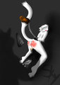 Naughty cat