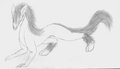 doodle5