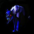 In the shadows