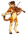The shy violinist~