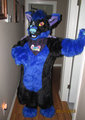 Shadow fursuit
