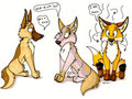 Hi Is A Furry