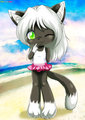 Devin (Prize for the Little Cubs/Tails name change)