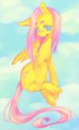 fluttershy