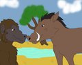 Unlikely frineds by rascalraccoon
