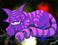 Cheshire Grin by Dook